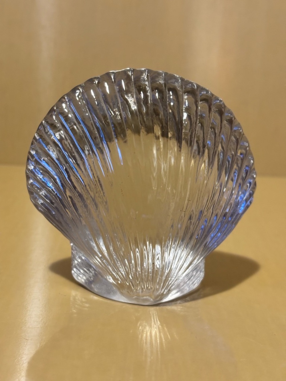 Clear Glass Seashell Sculpture - Nautical.